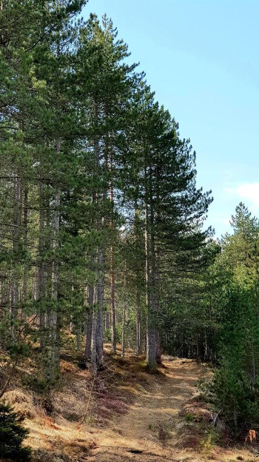 Previja Zlatibor Chalet Экстерьер фото