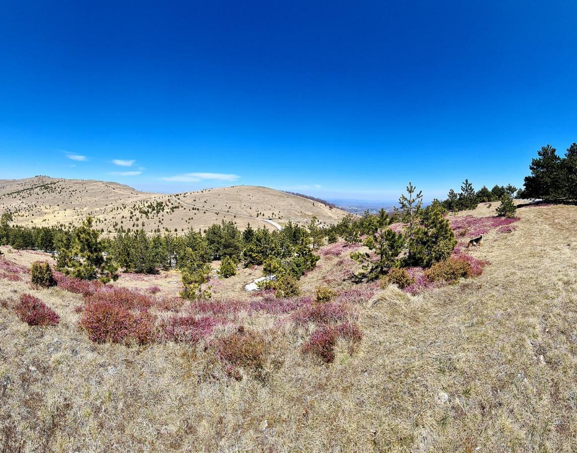 Previja Zlatibor Chalet Экстерьер фото