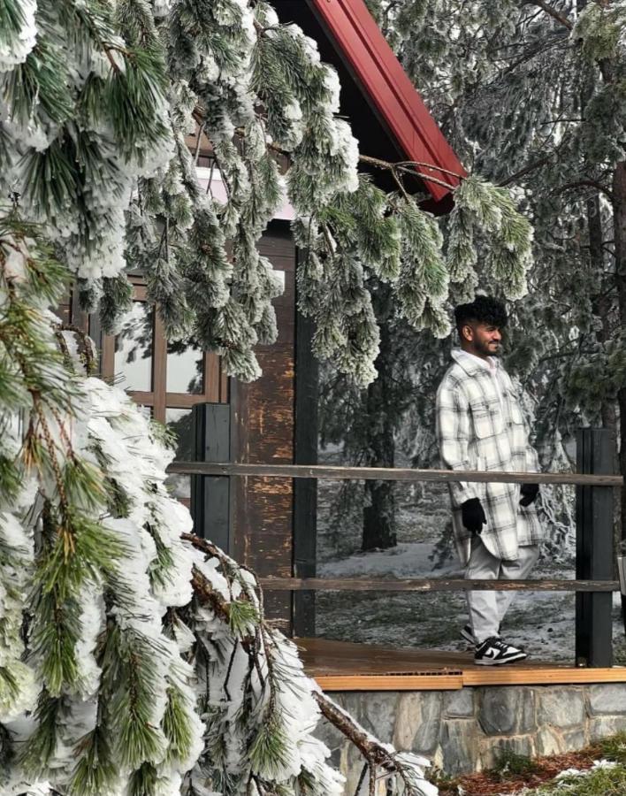 Previja Zlatibor Chalet Экстерьер фото