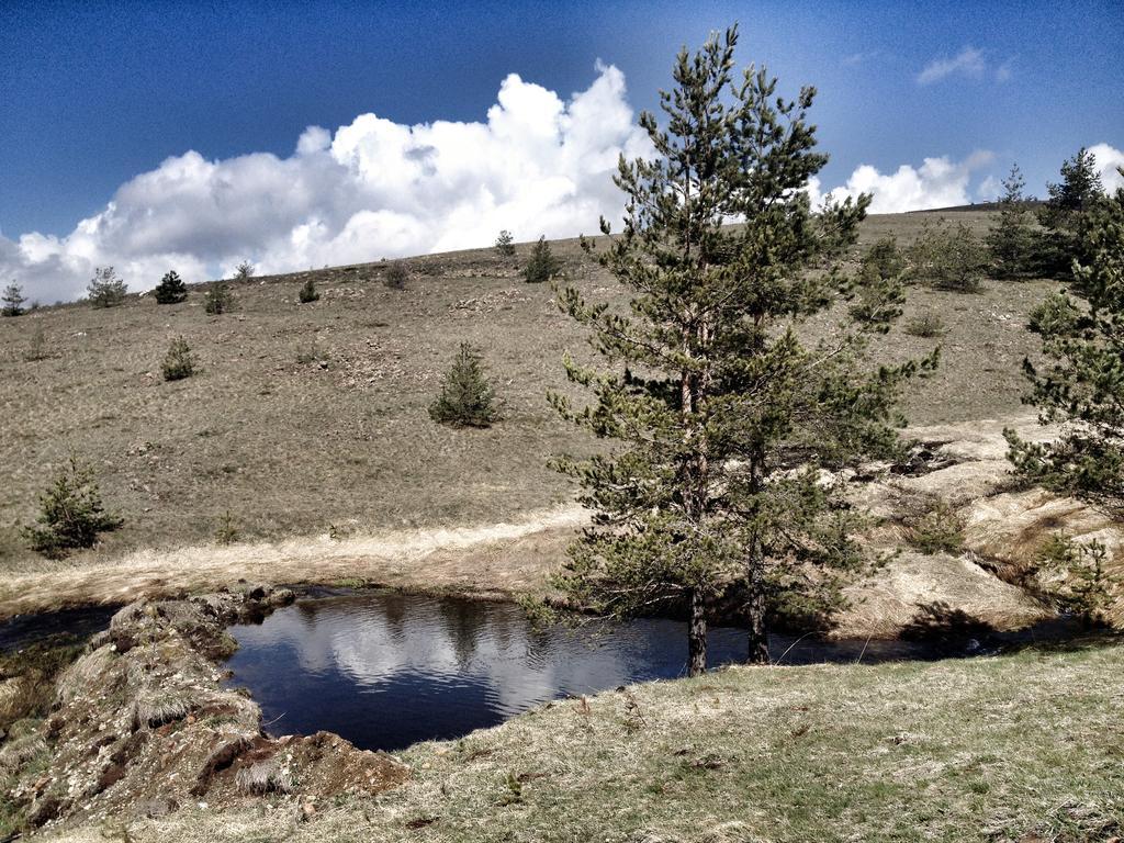 Previja Zlatibor Chalet Экстерьер фото