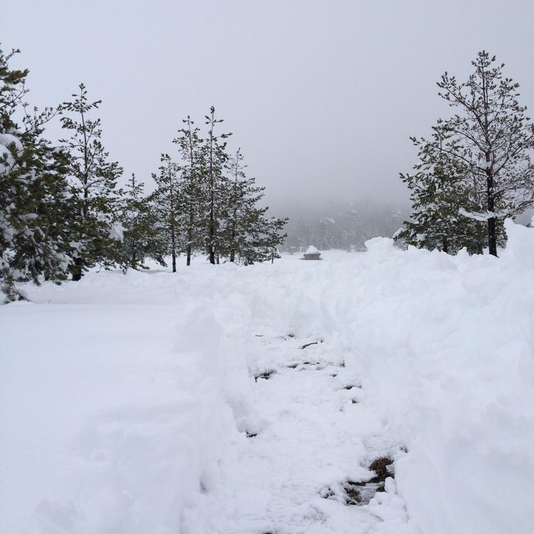 Previja Zlatibor Chalet Номер фото