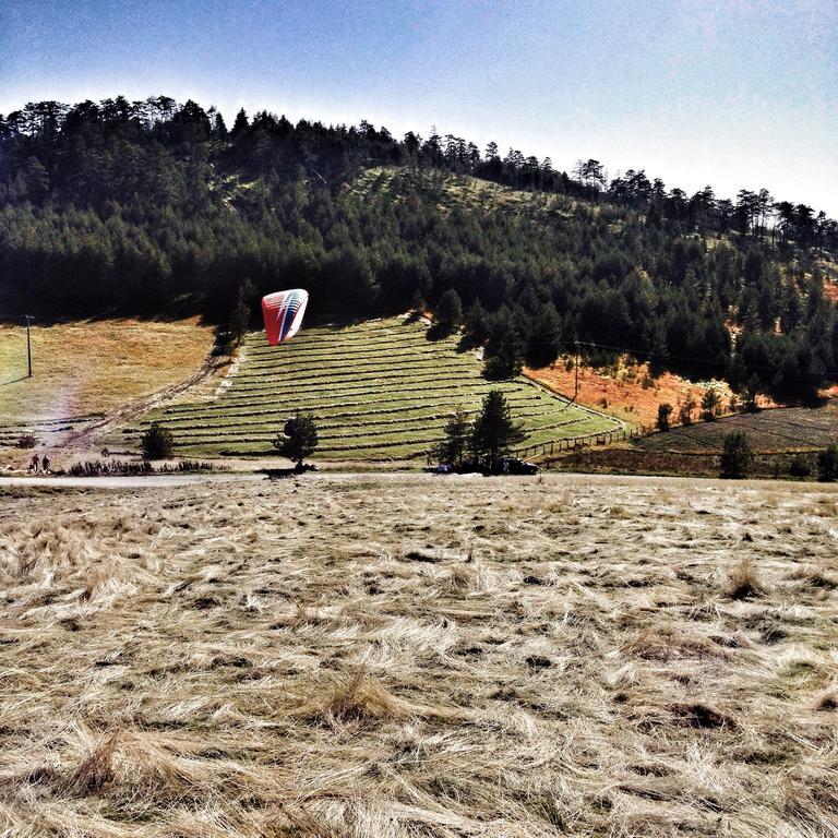 Previja Zlatibor Chalet Номер фото