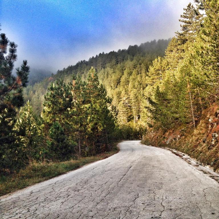 Previja Zlatibor Chalet Номер фото