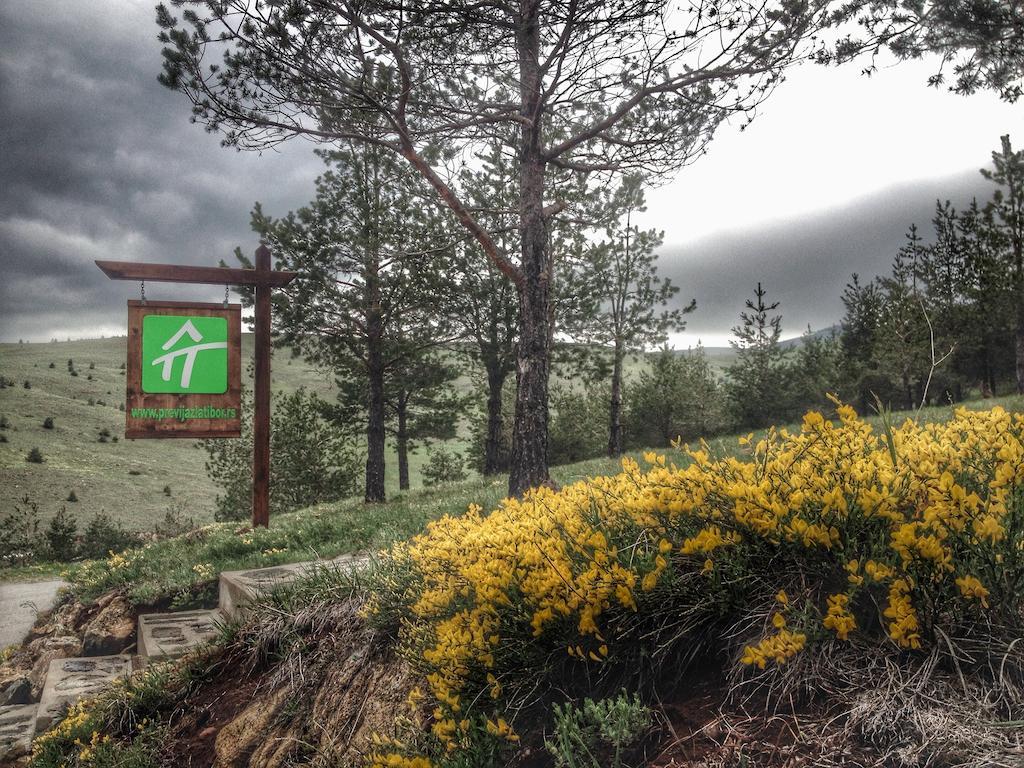Previja Zlatibor Chalet Номер фото