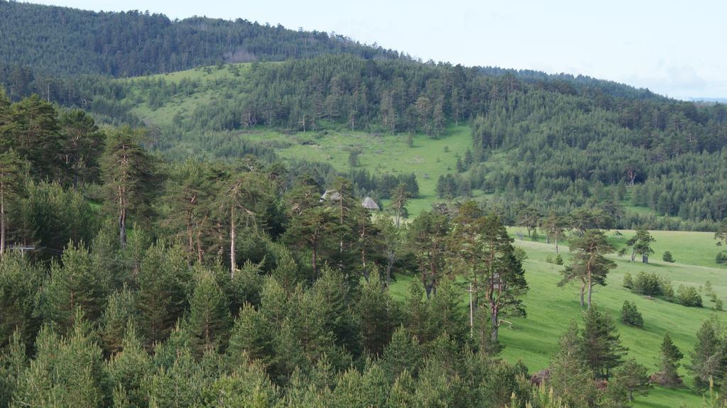 Previja Zlatibor Chalet Экстерьер фото