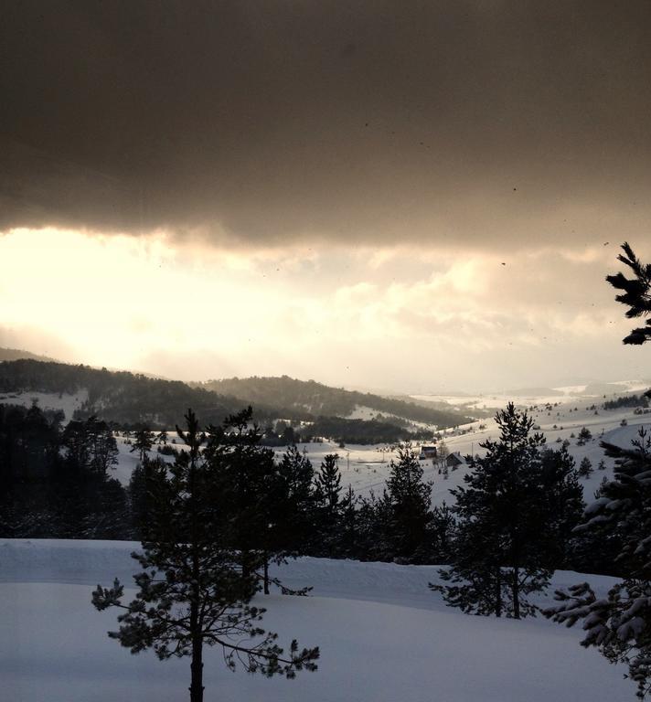 Previja Zlatibor Chalet Номер фото