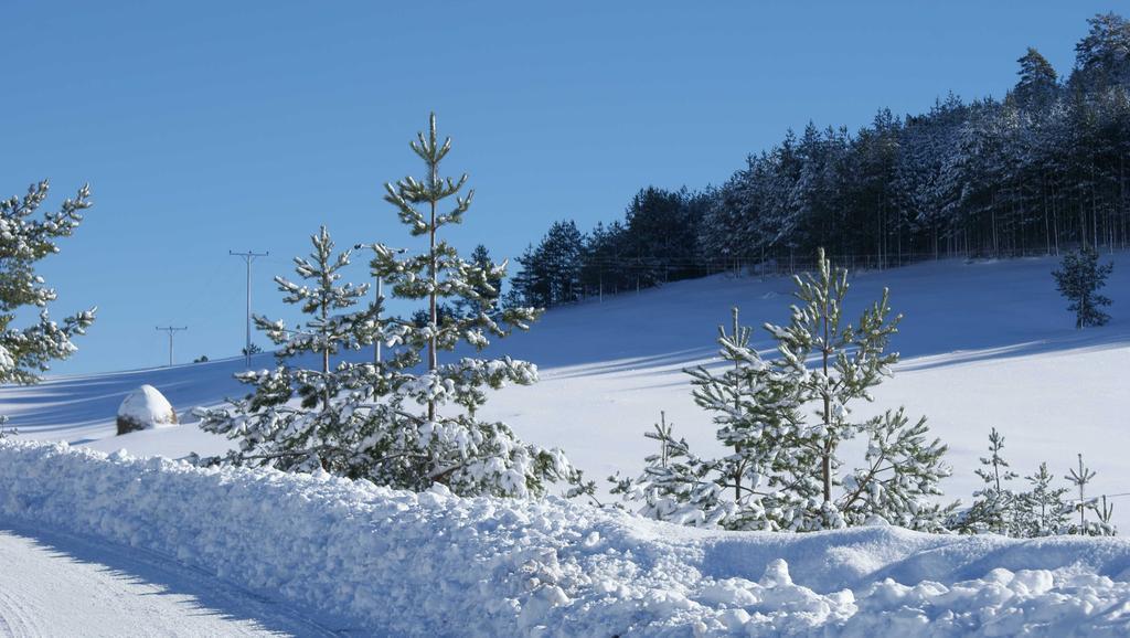 Previja Zlatibor Chalet Номер фото