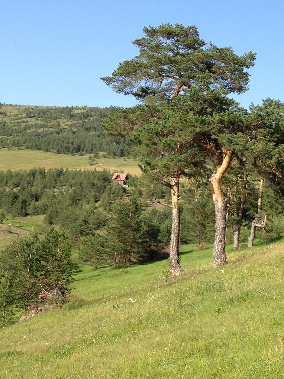 Previja Zlatibor Chalet Номер фото
