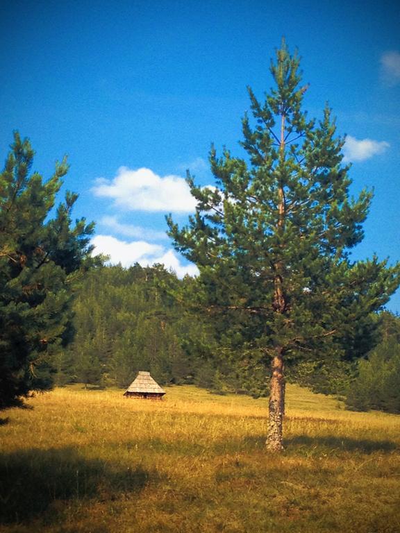 Previja Zlatibor Chalet Номер фото