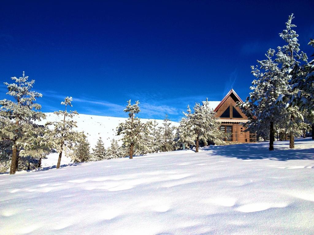 Previja Zlatibor Chalet Экстерьер фото