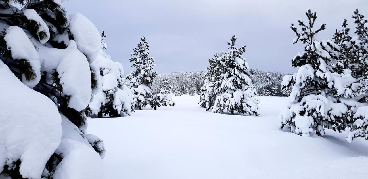 Previja Zlatibor Chalet Экстерьер фото